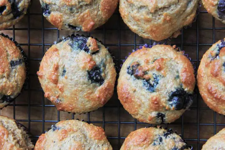 Recette pour diabétiques : muffins au son et aux bleuets 
